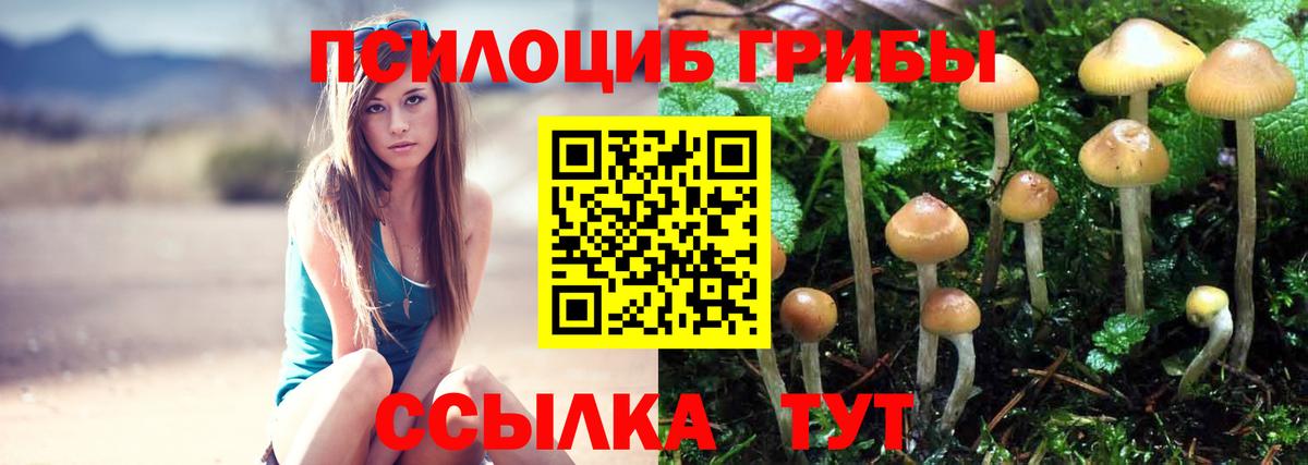 Псилоцибиновые грибы Magic Shrooms  Вход с VPN  Малгобек 